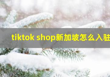 tiktok shop新加坡怎么入驻